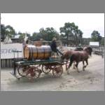 Horse-drawn barrel of "swamp water"