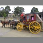 Ballarat stagecoach. Reminds you at all of Cinderella?