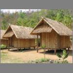 The huts in the Mhong village were quite different from the Karen village