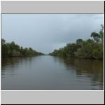 Swamp - view from the boat