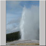 Old Faithful erupting...